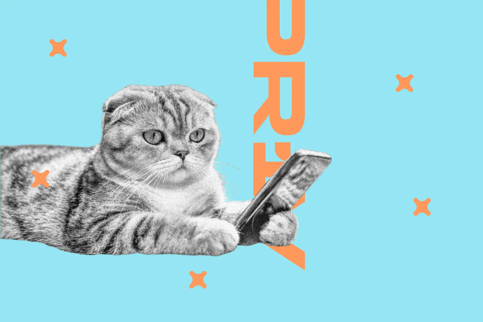 Aplikacje w telefonie a prywatność - kto cię śledzi?